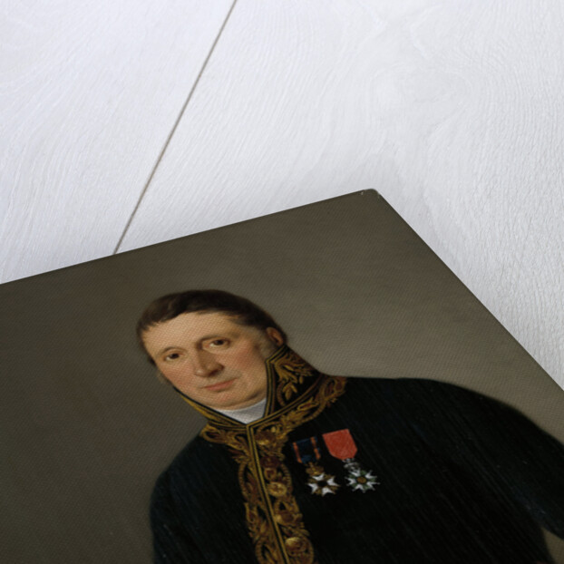 Portrait of Inspector-General A.F. Goudriaan by Izaak Schouman