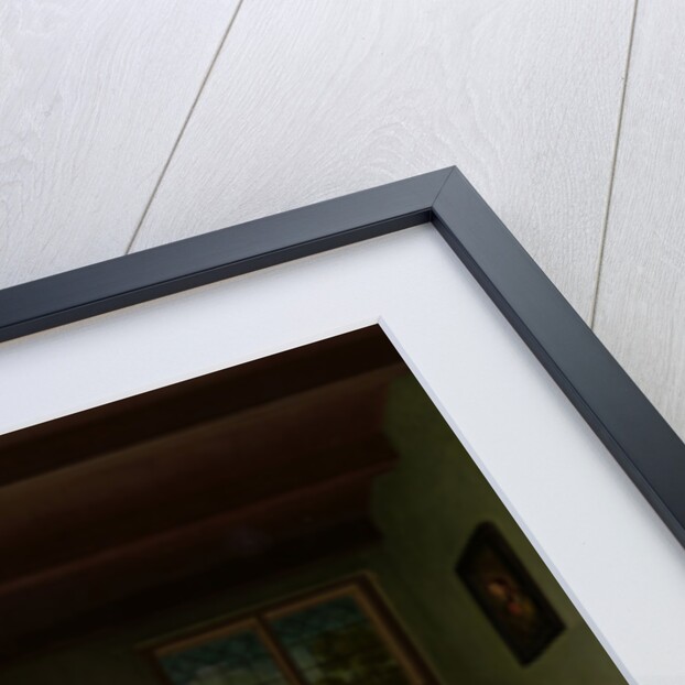 The Raree-show, ’t Fraay Curieus by Willem van Mieris