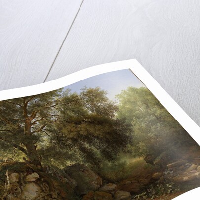 View in the Park of the Villa Chigi at Ariccia by Abraham Teerlink