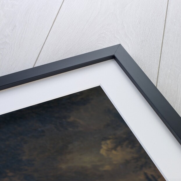 Portrait of Silvester van Tongeren by Jan Weenix