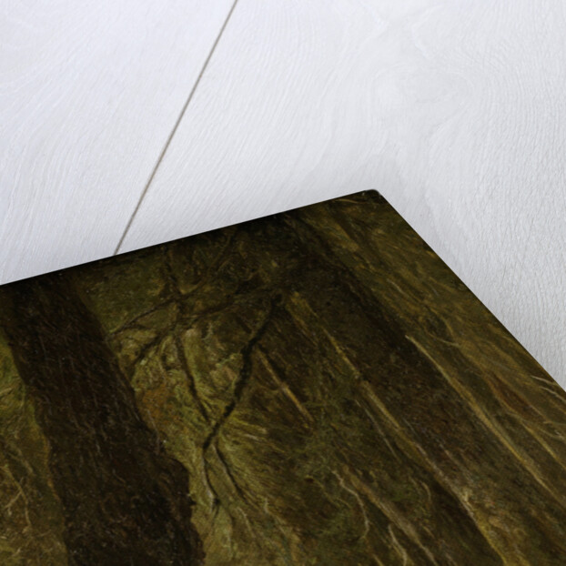 On battue by Johannes Tavenraat