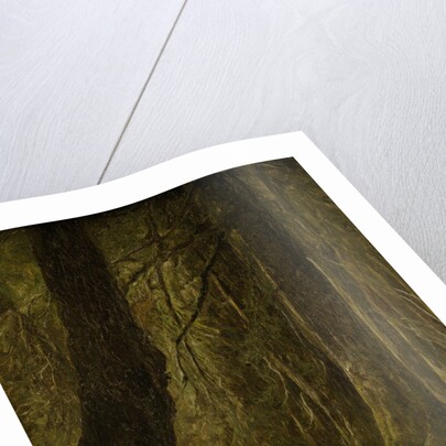 On battue by Johannes Tavenraat