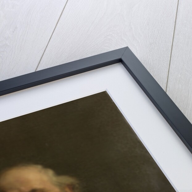 Portrait of Pieter Stortenbeker, 1828-1898, painter by Pieter de Josselin de Jong