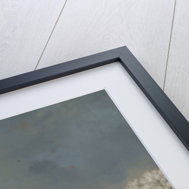 Women’s Skating Competition on the Stadsgracht in Leeuwarden, 21 January 1809, The Netherlands by Nicolaas Baur