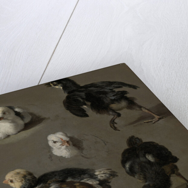Seven Chicks by Melchior d' Hondecoeter