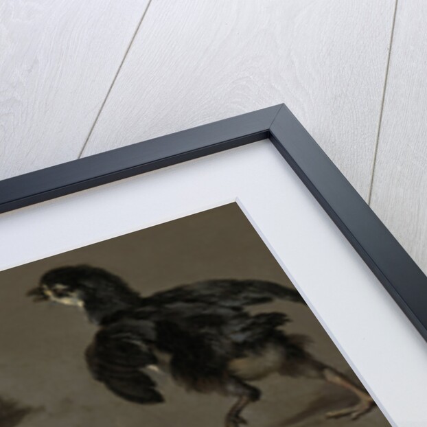 Seven Chicks by Melchior d' Hondecoeter