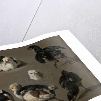 Seven Chicks by Melchior d' Hondecoeter