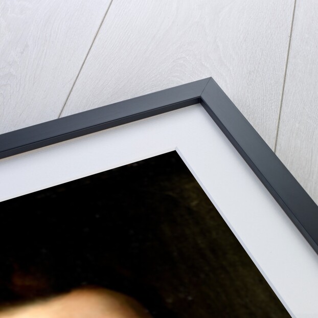 Portrait of Jan the Younger, Count of Nassau-Siegen, Count John VIII of Nassau-Siegen by Workshop of Jan Antonisz van Ravesteyn