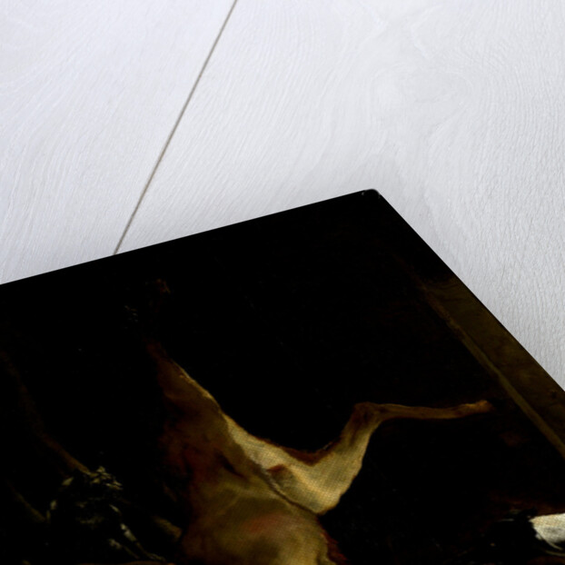 A Dog and a Cat near a partially disembowelled Deer by Jan Baptist Weenix