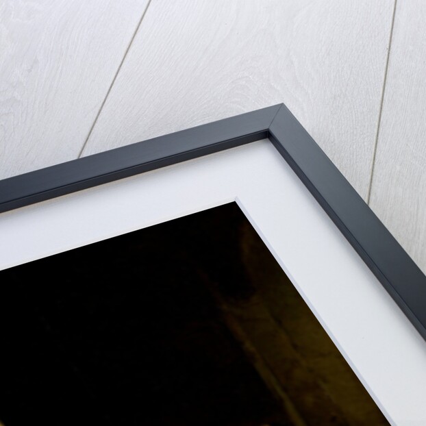 A Dog and a Cat near a partially disembowelled Deer by Jan Baptist Weenix