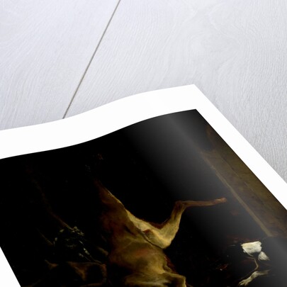 A Dog and a Cat near a partially disembowelled Deer by Jan Baptist Weenix