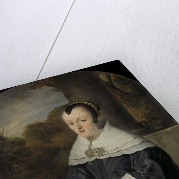Portrait of Maria Rey, Wife of Roelof Meulenaer by Ferdinand Bol