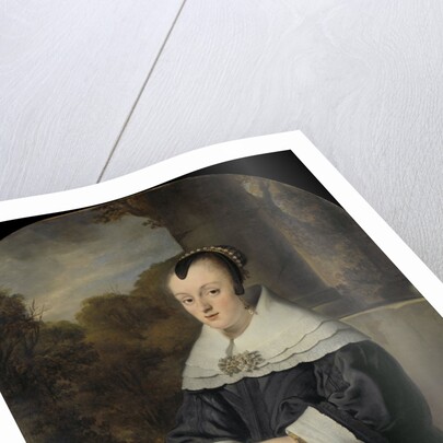 Portrait of Maria Rey, Wife of Roelof Meulenaer by Ferdinand Bol