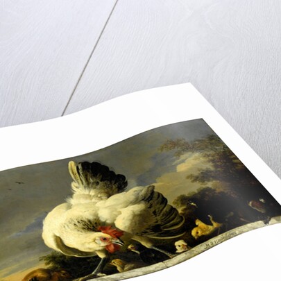 Birds on a Balustrade by Melchior d' Hondecoeter