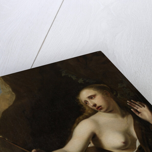 Penitent Mary Magdalene by Dirck Bleker