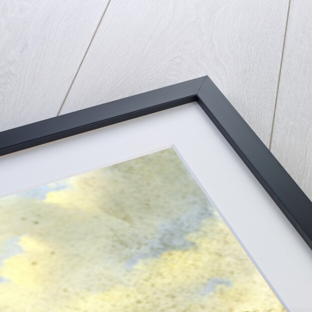 A rooster with hens and chicks by Albertus Verhoesen