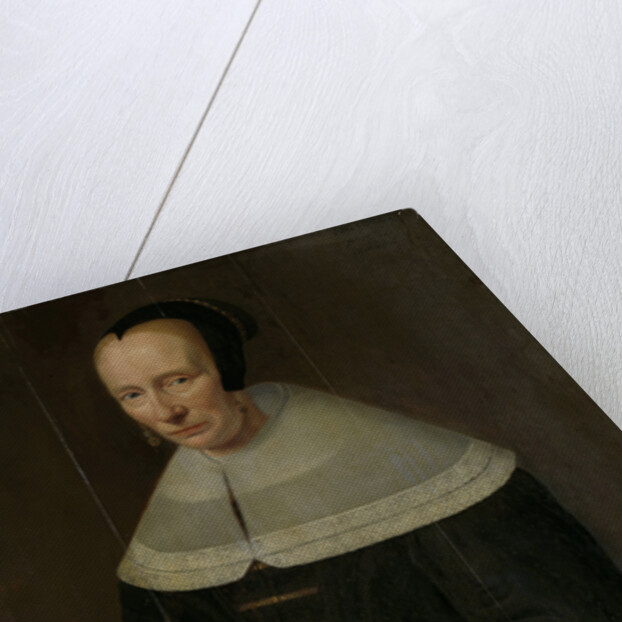 Portrait of a Woman by Godaert Kamper
