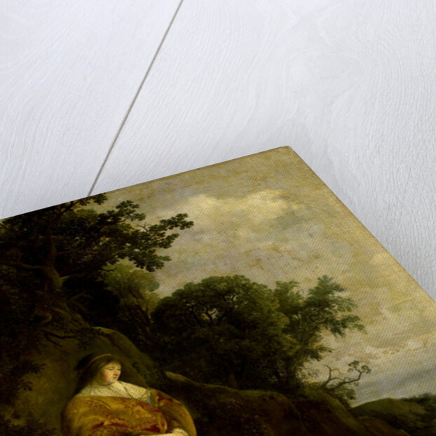 Pharaoh's Daughter Finds Moses in the Bulrushes, Paulus Bor by Cornelis Hendriksz. Vroom