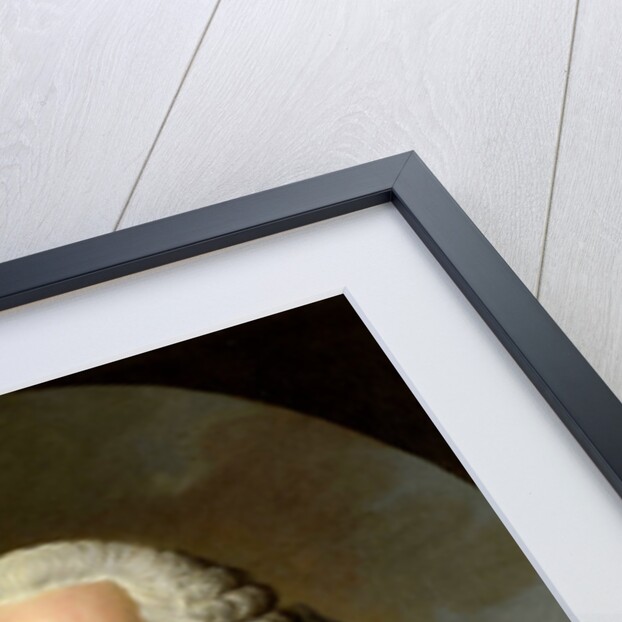 Portrait of William IV, Prince of Orange by Jacques André Joseph Camelot Aved