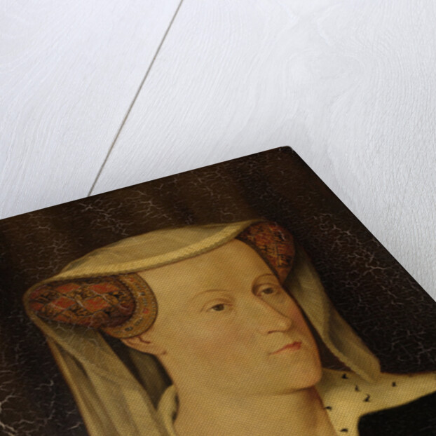 Jacoba of Bavaria, 1401-1436, countess of Holland and Zeeland by Pieter Willem Sebes