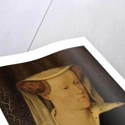 Jacoba of Bavaria, 1401-1436, countess of Holland and Zeeland by Pieter Willem Sebes