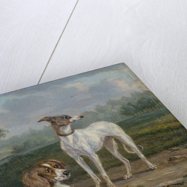 Two dogs by Jan Dasveldt