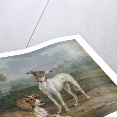 Two dogs by Jan Dasveldt