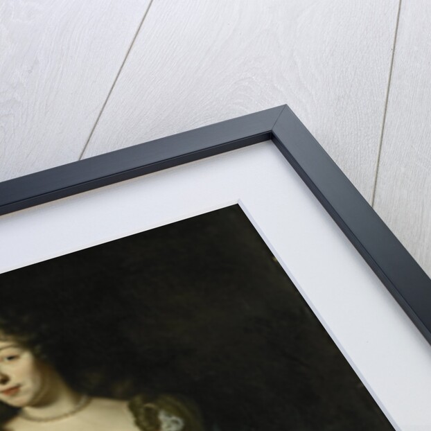 Portrait of Maria Schaep, Wife of Hendrick Bicker by Michiel van Musscher