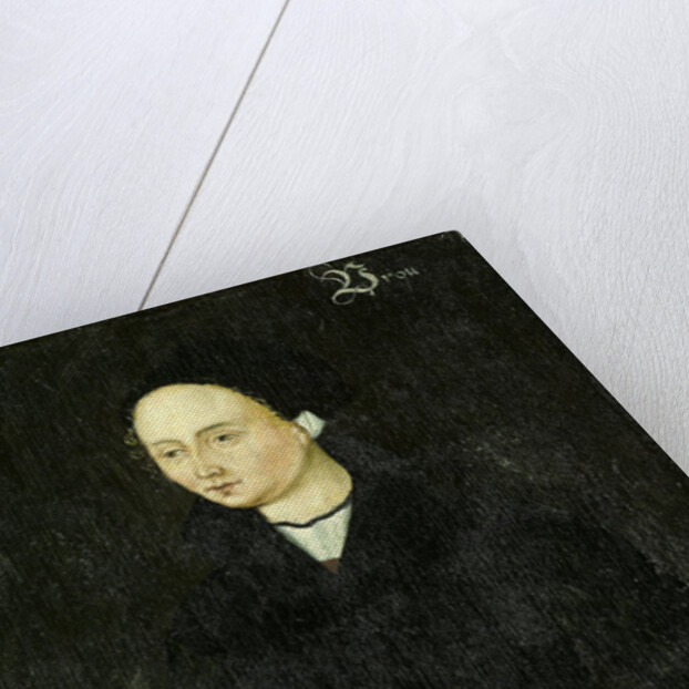 Woman from Jisp, The Netherlands by Anonymous