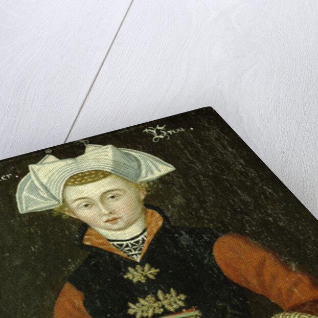 Woman from Hensbroek, The Netherlands by Anonymous