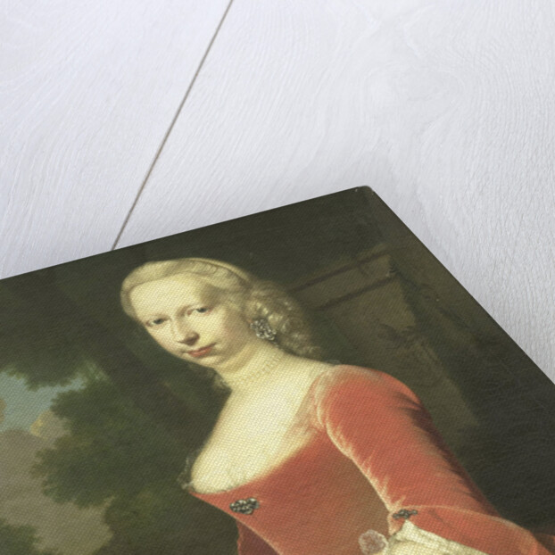 Portrait of a Woman by Frans van der Mijn