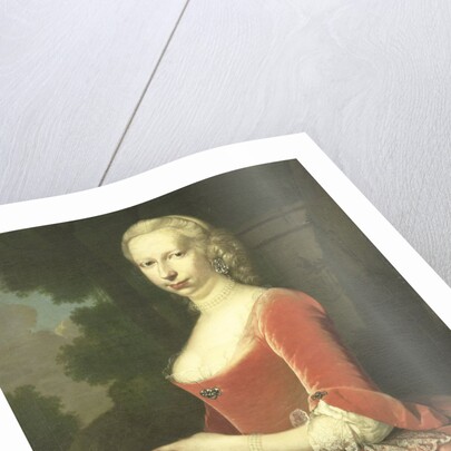 Portrait of a Woman by Frans van der Mijn