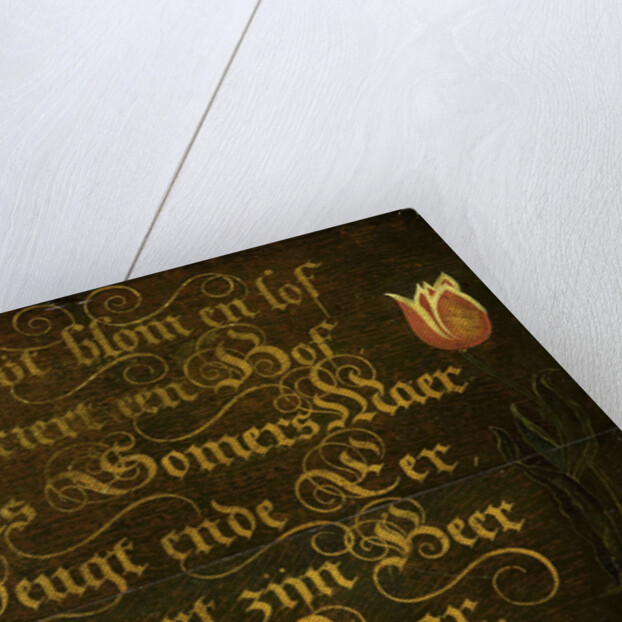 Calligraphed Saying Flanked by two Tulips by Isaac Hondius