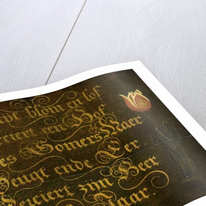 Calligraphed Saying Flanked by two Tulips by Isaac Hondius