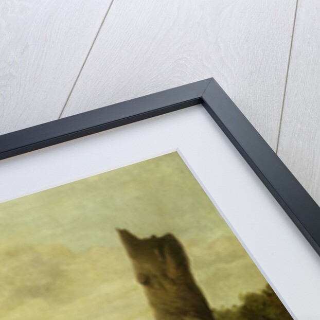 Paris and Oenone by Jacob de Wit