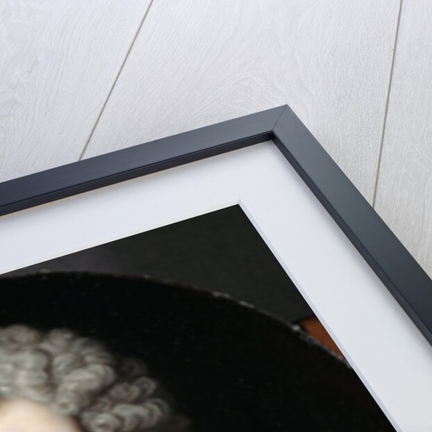 Portrait of Pieter van de Poel by Arnold Boonen