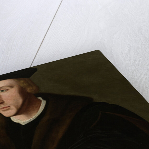 Portrait of Joris van Egmond by Jan van Scorel