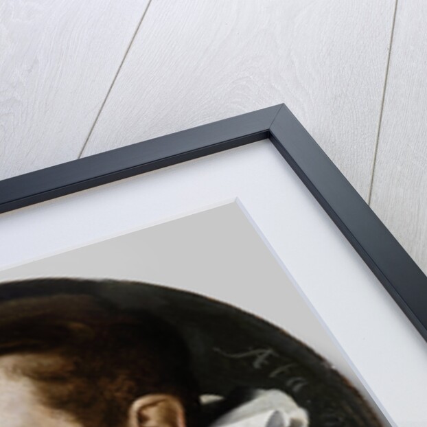 Hugo de Groot sixteen years old by Jan Antonisz van Ravesteyn