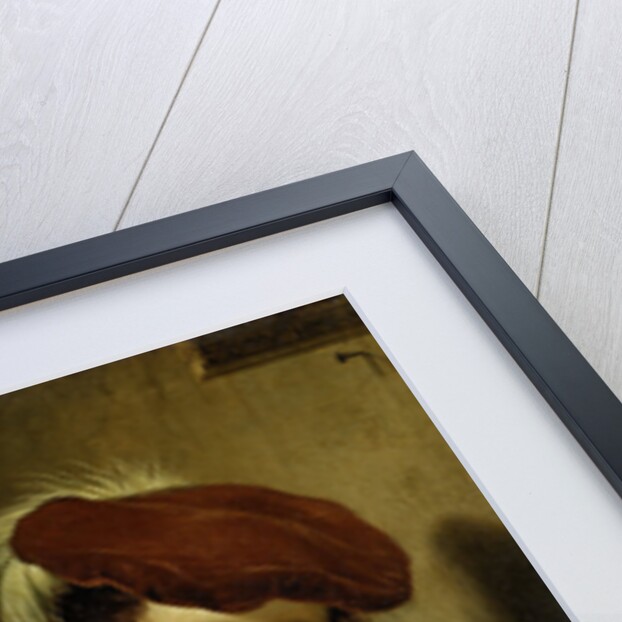 Escaped Bird, Allegory of Chastity by Frans van Mieris I