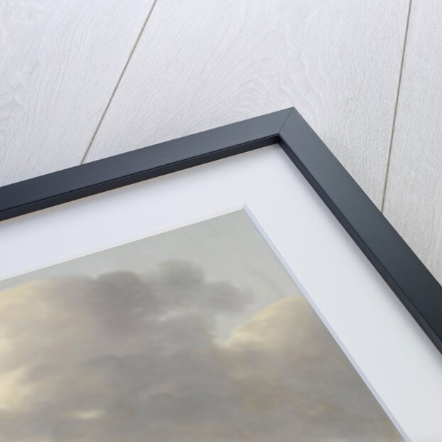 Adriaan van der Hoop’s Trotter ‘De Vlugge’, The Fast One in a Meadow by Anthony Oberman