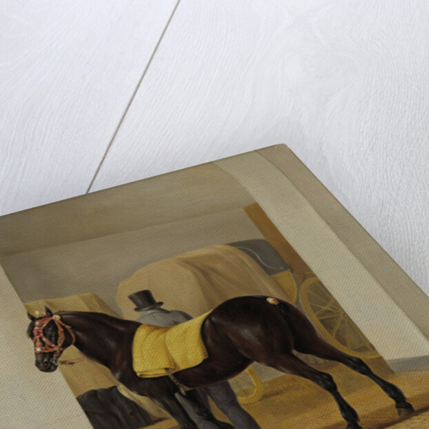 Adriaan van der Hoop’s Trotter ‘De Rot’ at the Coach House by Anthony Oberman