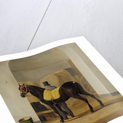 Adriaan van der Hoop’s Trotter ‘De Rot’ at the Coach House by Anthony Oberman