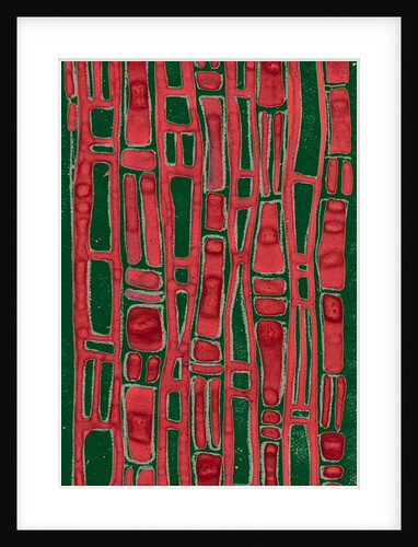 Organic abstraction 2 by Heinrich Martin