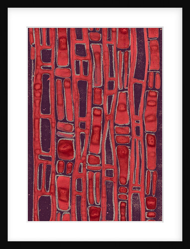 Organic abstraction 3 by Heinrich Martin