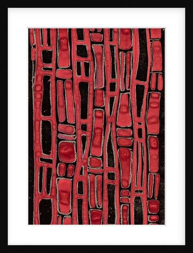 Organic abstraction 4 by Heinrich Martin