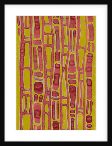 Organic abstraction 5 by Heinrich Martin