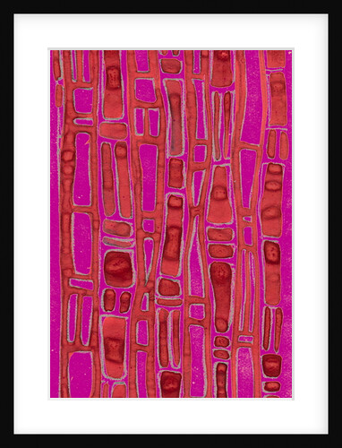 Organic abstraction 6 by Heinrich Martin