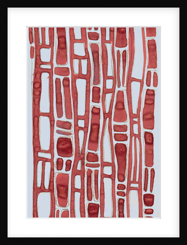 Organic abstraction 8 by Heinrich Martin