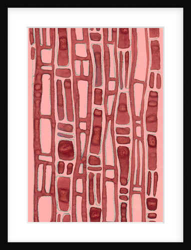 Organic abstraction 10 by Heinrich Martin