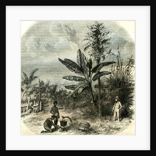 Guadeloupe France 1851 by Anonymous